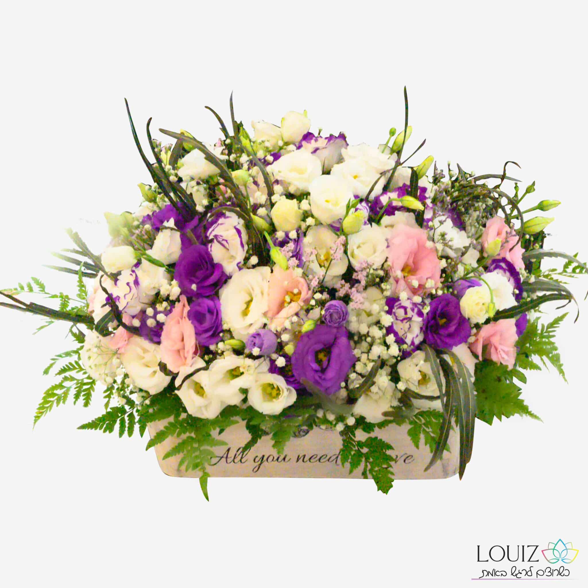 סידור ליזיאנטוס שלושה צבעים