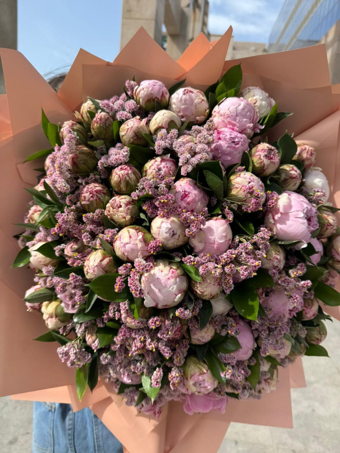 פיונים פרימיום